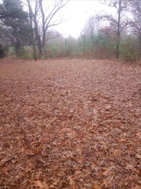 20 x 10 Unpaved Lot in Olive Branch, Mississippi
