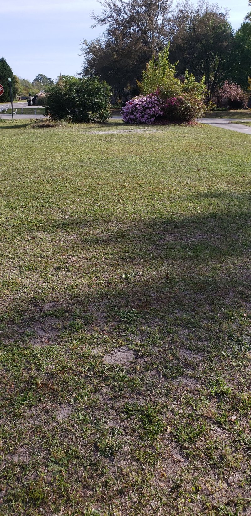 Unpaved Lot in Wilmington, North Carolina 1