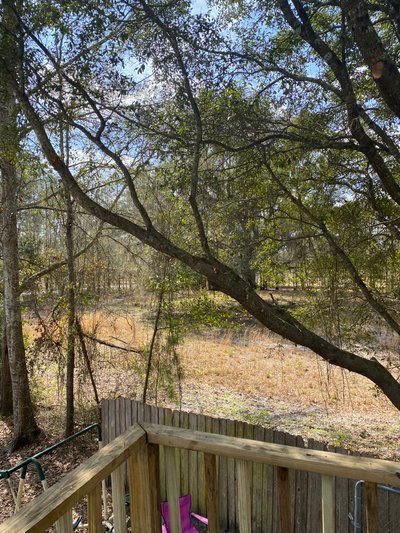 10 x 50 Unpaved Lot in Middleburg, Florida