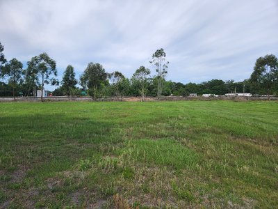 35 x 10 Lot in Plant City, Florida