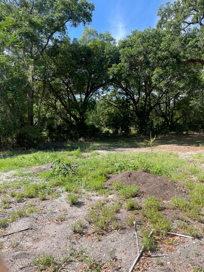 81 x 79 Unpaved Lot in Orlando, Florida near [object Object]