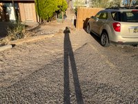 20 x 10 Parking Lot in Albuquerque, New Mexico