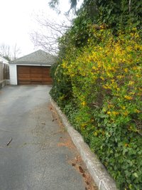 95 x 12 Driveway in Oyster Bay, New York