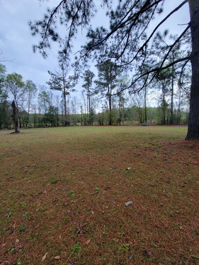 10 x 20 Unpaved Lot in Yulee, Florida