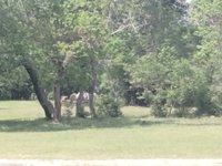 100 x 100 Unpaved Lot in , Texas