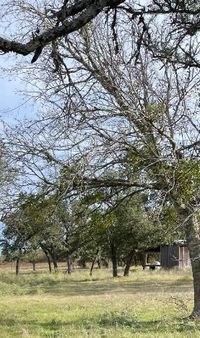 35 x 10 Unpaved Lot in Florence, Texas