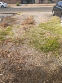 25 x 12 Unpaved Lot in Tucson, Arizona