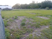 80 x 10 Unpaved Lot in Fort McCoy, Florida
