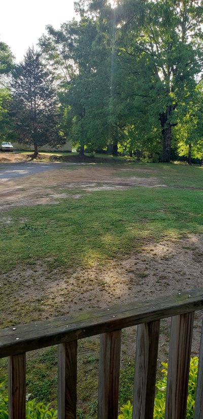 50×15 Unpaved Lot in Jasper, Alabama