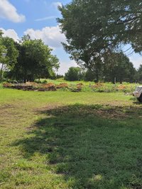 50 x 10 Unpaved Lot in Red Oak, Texas