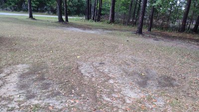 undefined x undefined Unpaved Lot in Charleston, South Carolina