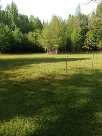 30 x 50 Unpaved Lot in Eupora, Mississippi