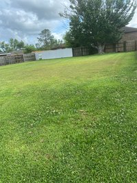 40 x 15 Unpaved Lot in New Orleans, Louisiana