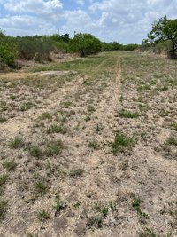 20 x 10 Unpaved Lot in Alice, Texas