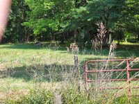 20 x 20 Unpaved Lot in Hatchechubbee, Alabama
