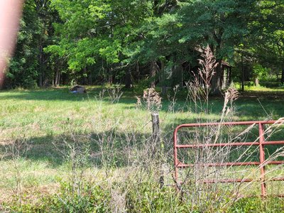 20×20 Unpaved Lot in Hatchechubbee, Alabama