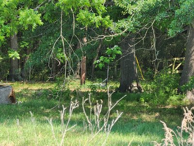 20 x 20 Unpaved Lot in Hatchechubbee, Alabama near [object Object]