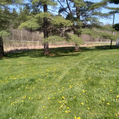 20 x 10 Unpaved Lot in Troy, New York
