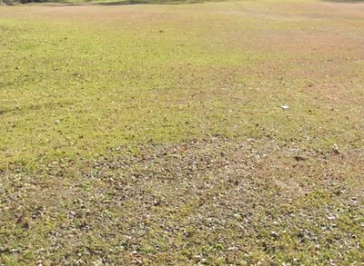50 x 10 Unpaved Lot in Cantonment, Florida