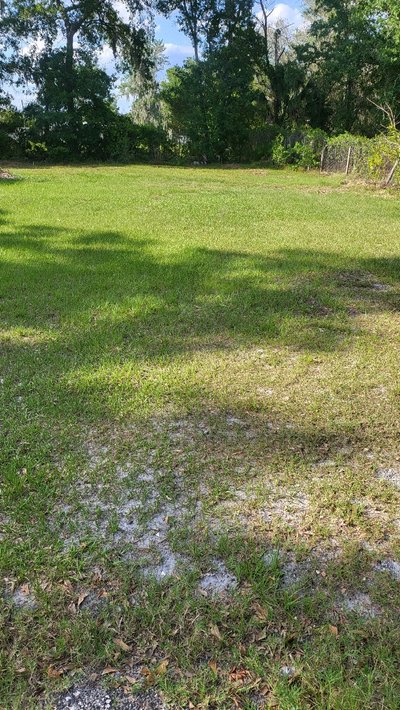 10 x 50 Lot in Riverview, Florida