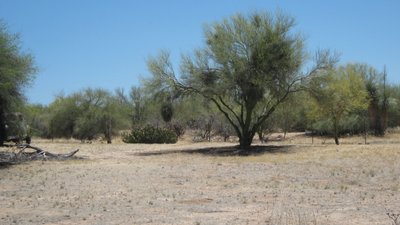 Medium 10×30 Unpaved Lot in Tucson, Arizona