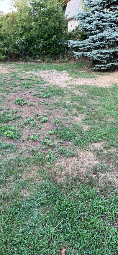 20 x 20 Unpaved Lot in Edison, New Jersey