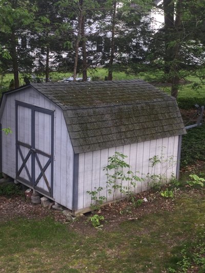 8 x 10 Shed in Hurley, New York near [object Object]