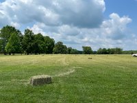 500 x 800 Unpaved Lot in Summertown, Tennessee