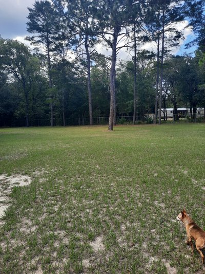 50 x 20 Unpaved Lot in Inverness, Florida near [object Object]