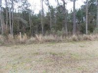 300 x 600 Unpaved Lot in Honea Path, South Carolina