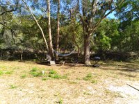 150 x 75 Unpaved Lot in Dunnellon, Florida