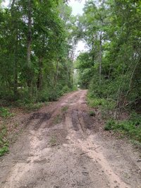 50 x 20 Unpaved Lot in Livingston, Texas