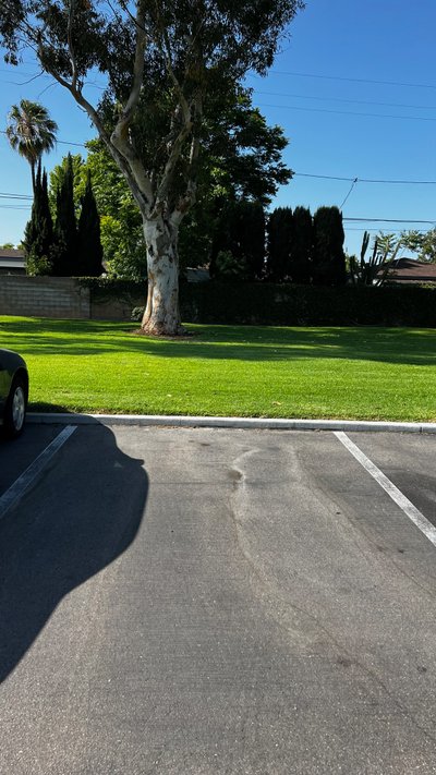 20 x 10 Parking Lot in Anaheim, California
