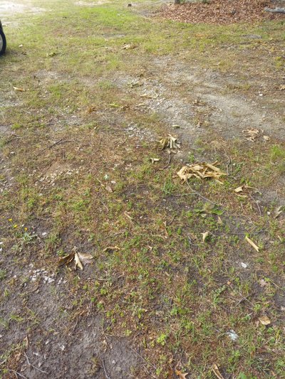 20 x 20 Unpaved Lot in Spring Hope, North Carolina near [object Object]