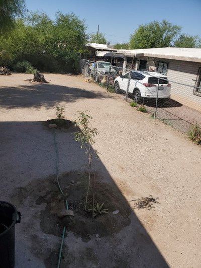 48 x 15 Lot in Tucson, Arizona