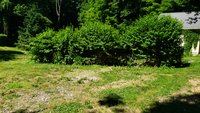 20 x 10 Unpaved Lot in Wharton, New Jersey