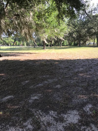 40 x 15 Unpaved Lot in Clermont, Florida