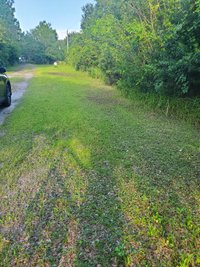 20 x 20 Unpaved Lot in St. Cloud, Florida