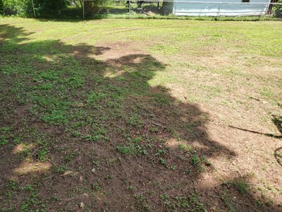 undefined x undefined Unpaved Lot in Lowell, North Carolina