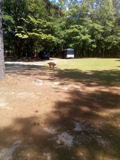 100 x 200 Unpaved Lot in Manning, South Carolina near [object Object]