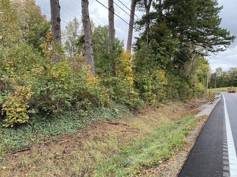 Unpaved Lot in Chestnut Mound, Tennessee 1