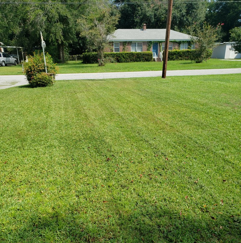 Unpaved Lot in Charleston, South Carolina 0