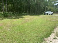 30 x 10 Unpaved Lot in Hastings, Florida