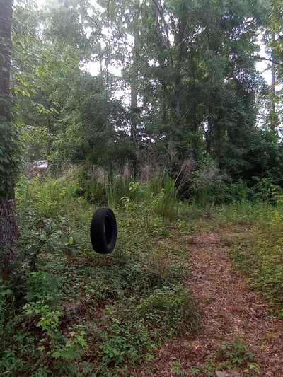 12 x 12 Unpaved Lot in Pamplico, South Carolina near [object Object]
