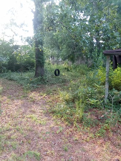 12 x 12 Unpaved Lot in Pamplico, South Carolina near [object Object]