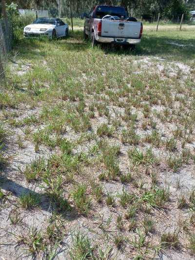 20 x 10 Unpaved Lot in Plant City, Florida near [object Object]