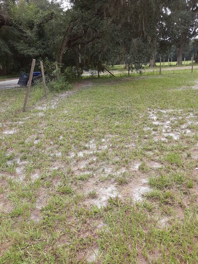 20×10 Unpaved Lot in Plant City, Florida