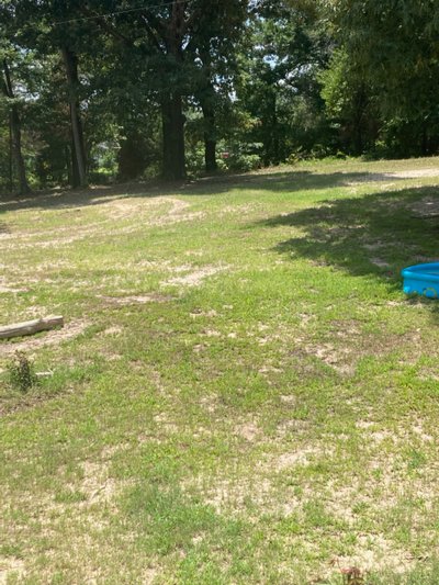 20 x 10 Unpaved Lot in Eustace, Texas