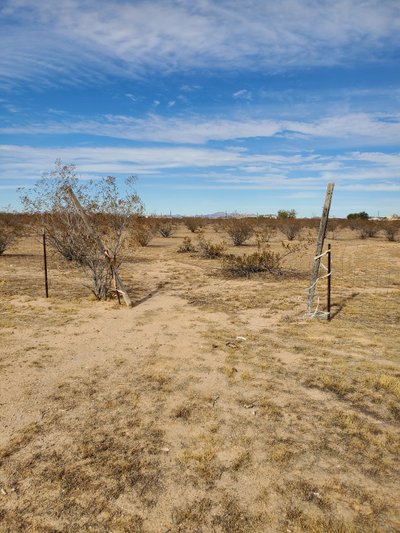 50 x 10 Unpaved Lot in Tonopah, Arizona near [object Object]