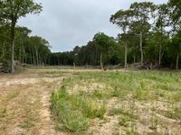 40 x 20 Unpaved Lot in Upper Township, New Jersey